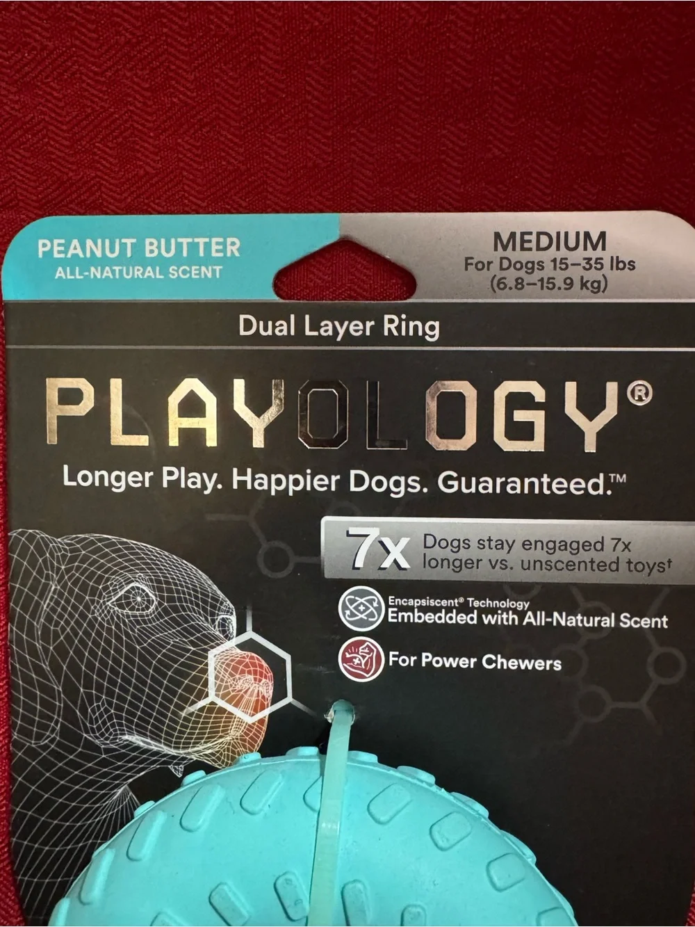Peanut Butter Scented Dual Layer Ring Dog Toy - Turquoise
